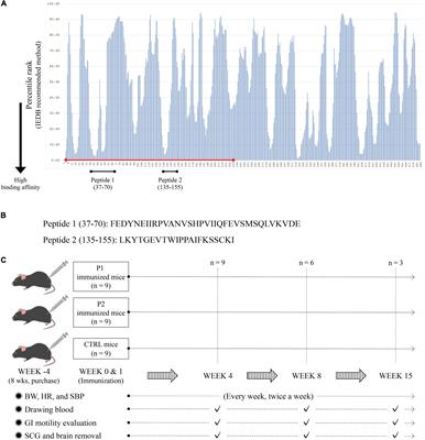 A novel murine model of autoimmune dysautonomia by α3 nicotinic acetylcholine receptor immunization